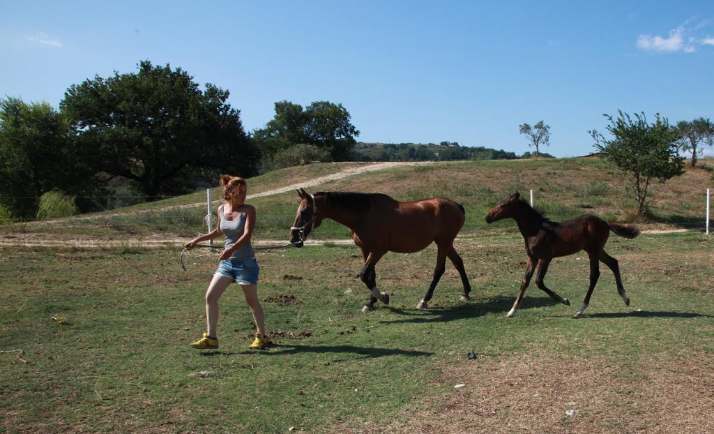 Podere Calledro Нарни Екстериор снимка